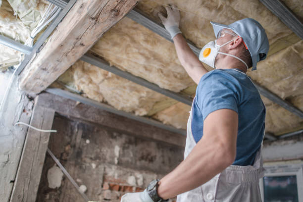 Best Residential Insulation in Thomaston, NY