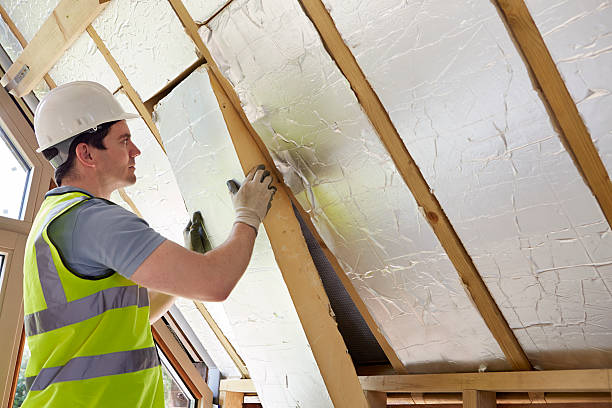 Best DIY Insulation Kits and Guidance in Thomaston, NY